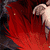 Anime-style character with white hair and red eyes, wearing a red cape, holding a red rose, against a dark background with red accents.