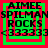 A static digital image displays four identical green square icons with red borders, each containing black text reading "AIMEE SPILMANS ROCKS <33333" on a solid red background.