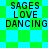 Pixelated text 'SAGES LOVE DANCING' on green and cyan checkered background with animated pattern shift.