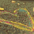 A static image with a pink background featuring yellow text and black heart symbols, including phrases like 'i wrote i wrote your name' and 'but the rain washed it away.'
