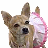 A pixelated contact sheet showing two frames of an animated icon featuring a dog with pink and white fur, alongside the text 'bruiser' in bright pink letters.
