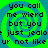 Four identical display pixelated text over a green and blue spiral background with no visible animation changes
