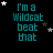 four and three displays the phrase "I'm a Wildcat beat that" in cyan text with animated stars moving across a black background