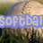 A soft-focus image of a baseball field with text overlays changing across frames.