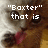 A cat with brown and white fur licks its lips, displaying pixelated text in four
