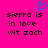 Bright pink background with black pixelated text reading "sierra is in love wit zach" and a blue pixelated heart symbol above the text.