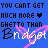 Blue background with repeated text "YOU CANT GET MUCH MORE Ghetto THAN Bridget" and pink X symbols, featuring pixelated hearts.