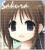 25 anime-style character headshots with varying hair colors and expressions, each labeled 'Sakura' in cursive text above