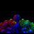Pixelated animated icon with shifting colorful background and pink text reading Random things rock!!