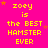 Bright pink background with yellow pixelated text reading "zoey is the BEST HAMSTER EVER" repeated in a pattern, scattered orange and red star shapes