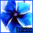 A 48x48 pixel animated buddy icon featuring a blue flower with white highlights and purple center, displayed as two sequential frames in a contact sheet layout showing slight animation changes.