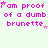 Pixelated text repeats 'i am proof of a dumb brunette' in pink with small stars on light green background.