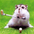 Pixelated cartoon hamster in a golfing pose holding a club, standing on green grass background.