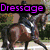 Four horseback riding scenes with purple text labels: Dressage, Jumping, Cross Country, and a blank