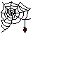 Black spider web with red spider hanging from bottom center on gray background, animated with vertical movement.