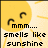 Pixelated yellow circular face with two curved black eyebrows above text reading 'mmm.... smells like sunshine' on a light yellow background.