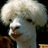 A pixelated alpaca with white fur and dark eyes appears on a bright blue background, accompanied by pink text reading "you", "godd", and "LOVE IT!".