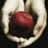 A pixelated image shows a mouth with teeth holding a red object against a black background, accompanied by red text reading "and the lion fell in love with the lamb.".