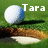 Pixelated image of a golf ball on a tee with a plate of fried food, green background, and white text 'Tara' in pixel font.