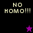 Four display "NO HOMO!!!" text with a star icon changing color between black and purple backgrounds