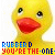 Yellow rubber duck with red beak and black eyes, each frame showing different text below the duck.