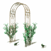 Animated contact sheet of 16 frames showing a garden arch with greenery and birds in various positions across the sequence.