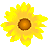 Pixelated sunflower with yellow petals and brown center on gray background, rendered in low-resolution digital style.