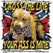 Static buddy icon featuring a cartoon dog with Confederate flag background and explicit text.
