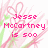 Pixelated pink text reads 'Jesse McCartney is 500' over a background of pink and green floral patterns with heart shapes.