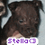 Pixelated image of a dark-furred dog with light brown patches on its chest and face, positioned against a blurred background.