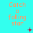 A cyan background displays repeated orange text "Catch a falling star" with animated red pixel elements changing across frames.