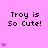 Pixelated text 'Troy is So Cute!' on pink background with animated heart sequences.