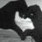 Black-and-white image of a cat forming a heart shape with its paws, accompanied by pixelated text on black and gray backgrounds.