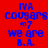 Blue text on red, white, and pink backgrounds reads 'IVA COUGARS 07 we are B.A.' with pixelated rendering.