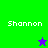 Four display the name 'Shannon' with a star symbol changing color between green and purple on different backgrounds