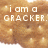 Pixelated image of cracker and peanut butter with overlaid text reading "i am a CRACKER. the PEANUT BUTTER ]".