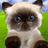 Pixelated cat with light brown body, dark brown face and ears, blue eyes, sitting on green grass under a blue sky.