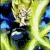 Animated character with spiky yellow hair and blue eyes, wearing a dark blue outfit with silver accents, against a blue background with yellow energy lines.