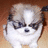 Pixelated dog image with blue text reading 'YOU are in my personal bubble here!' on a