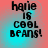 Pixelated text 'haie is cool beans!' on a gradient background shifting between cyan and red hues.