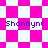 Pixelated pink and white checkered pattern with purple text "Shannync" repeated across four distinct sections.