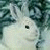 Pixelated static image shows a light-colored figure with dark hair against a muted greenish background, featuring one visible black eye and partial facial features.