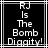 Black background with white pixelated text reading 'RJ Is The Bomb Diggity!' inside a thin white border.