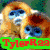 Animated icon shows four distinct scenes: two monkeys, a cartoon character, and a bear-like figure with text overlays.