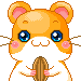 Pixelated hamster with orange-brown fur, pink inner ears, and blue eyes holds a brown seed pod in front of its chest across multiple expressions.