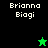 Pixelated text 'Brianna Biogi' appears on black and green backgrounds with a green star and black star icon changing positions.