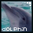 A dolphin's head emerges from turquoise water, with pixelated text below reading 'dOLPH;n' and a small square icon in the top-right corner.