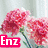 Four distinct images arranged in a : pink flowers, purple hippo plush, blue eye close-up, green peace symbol with 'Enz' text on each