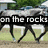A horse walks left to right across a grassy field with white railings and trees in the background, overlaid with text reading 'on the rocks'.