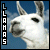 Animated sequence of a white llama's head against blue sky with clouds, showing subtle facial expression changes.